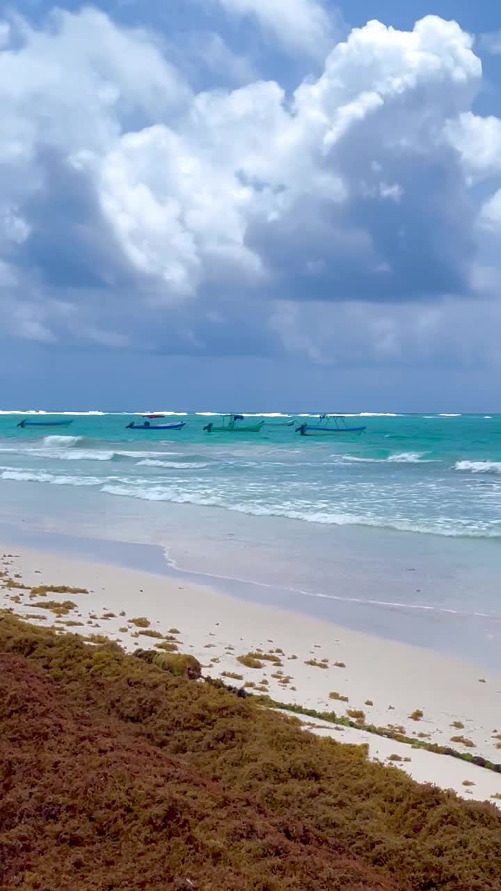 加勒比海绿松石般的海水视频下载