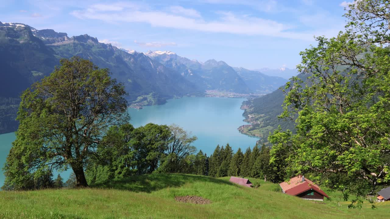 山湖全景。瑞士的布里恩茨湖视频素材