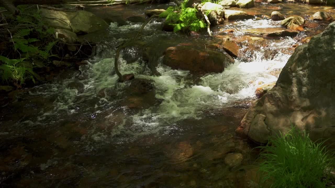 一股水流过一块岩石。水很清澈，岩石很大。这是一片宁静祥和的景象视频下载