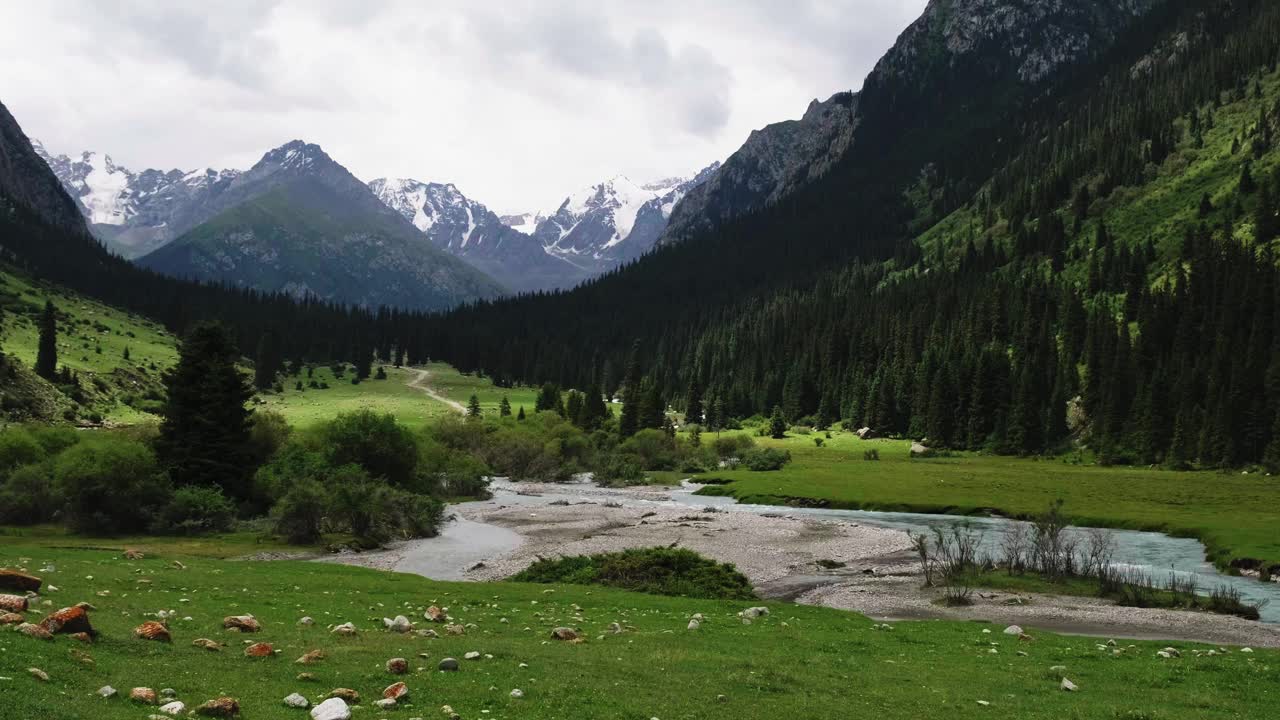 夏季景观的岩石河流沿着山沟流动视频素材