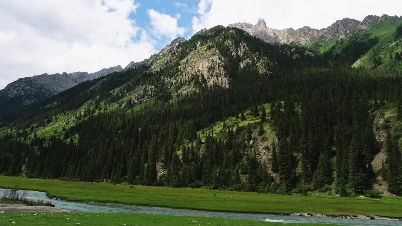 山间溪流沿着风景如画的绿色山谷流淌视频素材