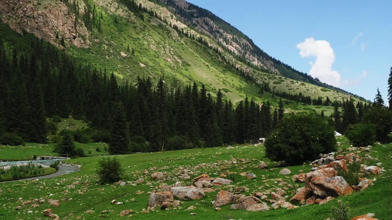 山间溪流沿着风景如画的绿色山谷流淌视频素材