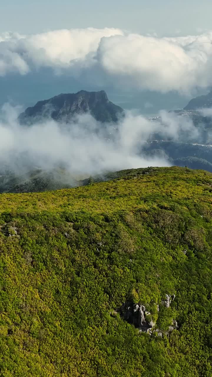 在马德拉的Pico Ruivo，飞越绿色的山脉和云层。鸟瞰马德拉岛山脉的美好早晨。垂直屏幕视频素材