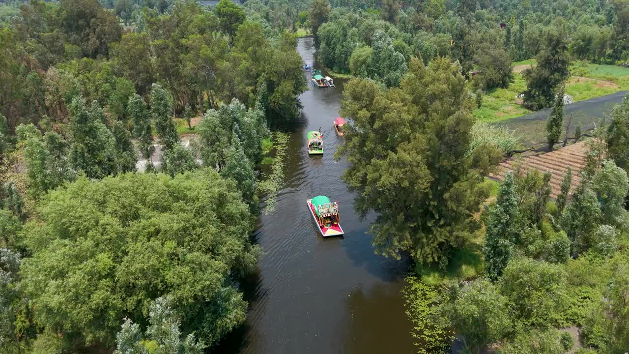 墨西哥城霍奇米尔科的航拍视频:在这里，你可以在当地特有的植被中，在宁静的运河上观察到一些色彩缤纷的trajinera。宁静美丽的墨西哥传统旅游胜地。视频素材