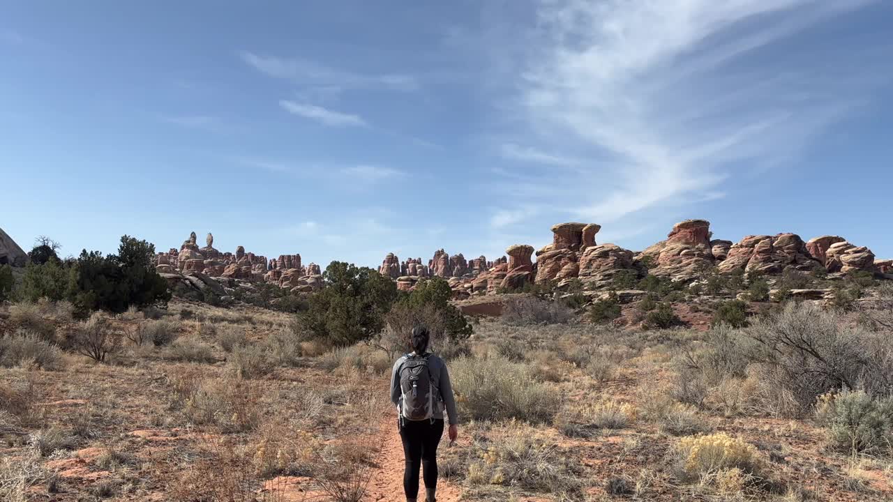 一位妇女在峡谷地国家公园美丽的针叶区徒步旅行视频素材