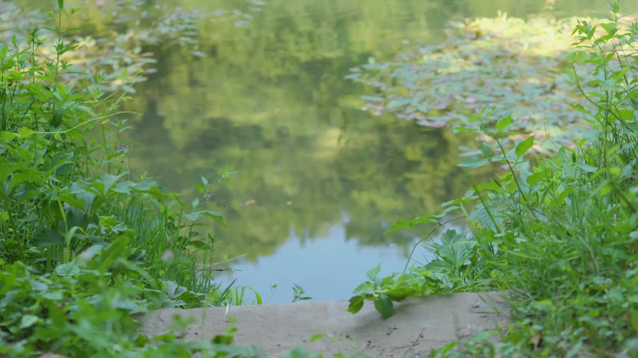 克罗地亚，美丽的库帕河上，从木台阶的码头到漂浮在水面上的一片树叶的放大镜头视频下载