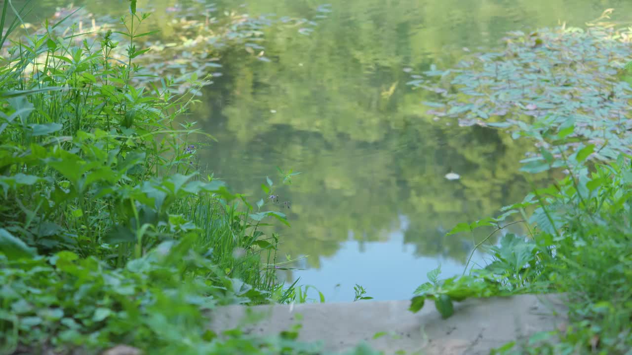 一个码头的特写镜头，木台阶通向美丽的库帕河，克罗地亚视频下载