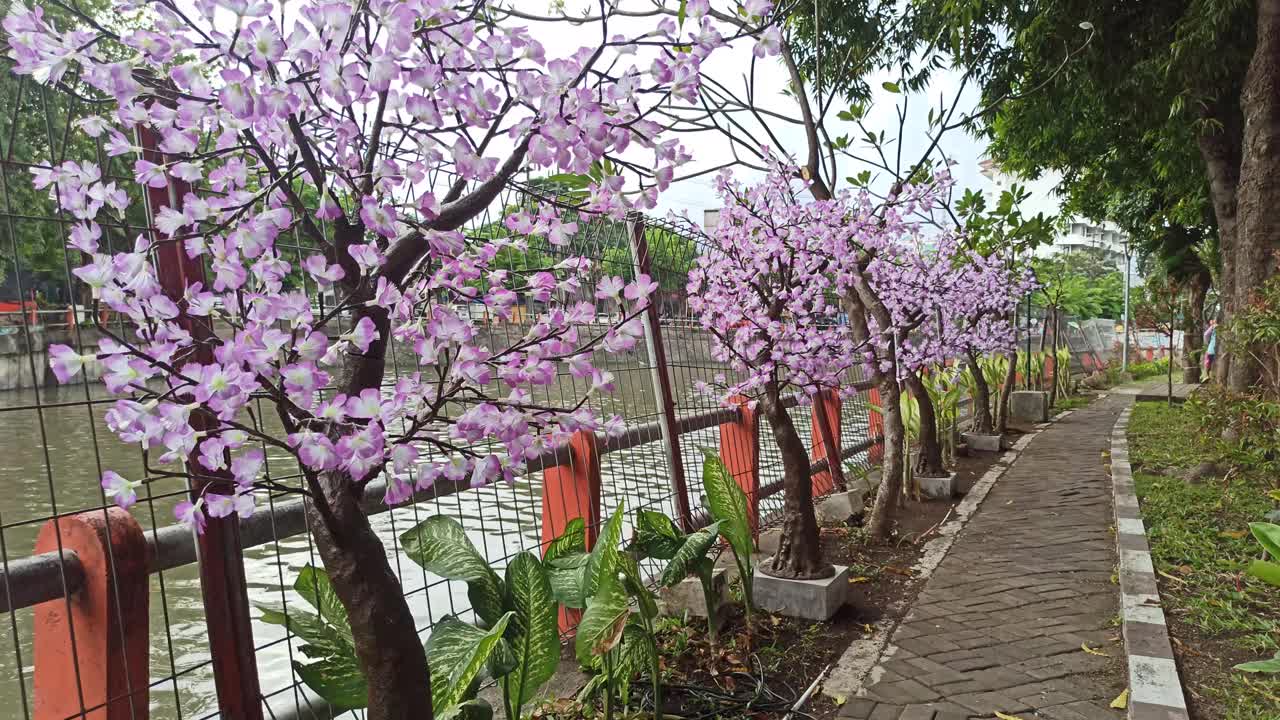 模仿花视频素材