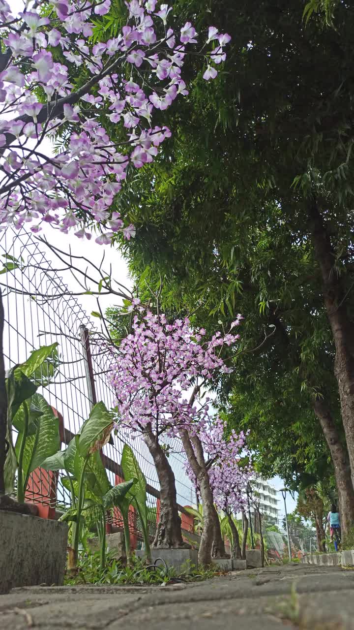 模仿花视频素材