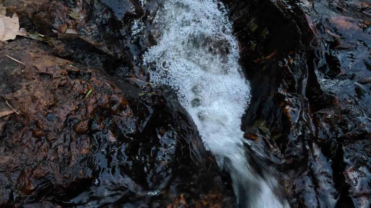 流经森林岩石的小溪视频素材