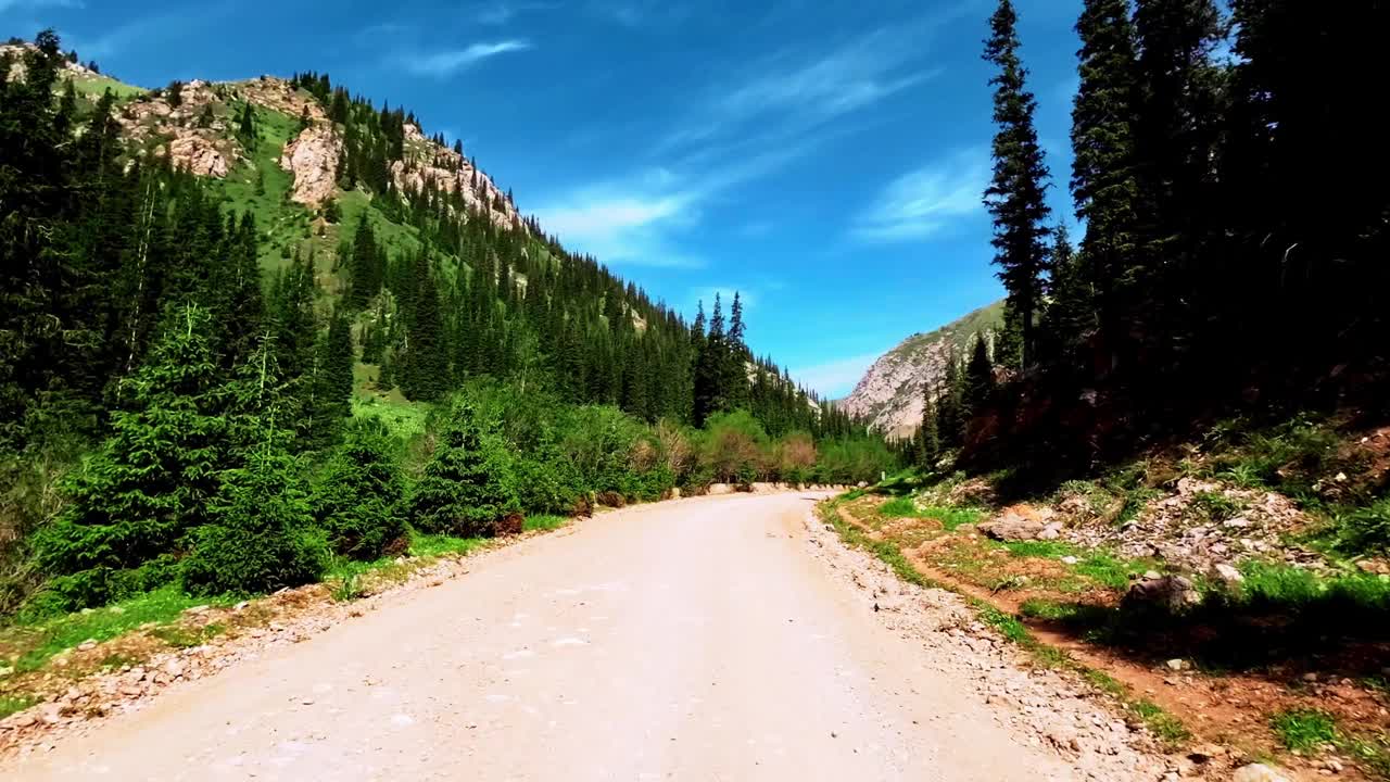 在一个晴朗的夏日早晨穿越山林视频素材