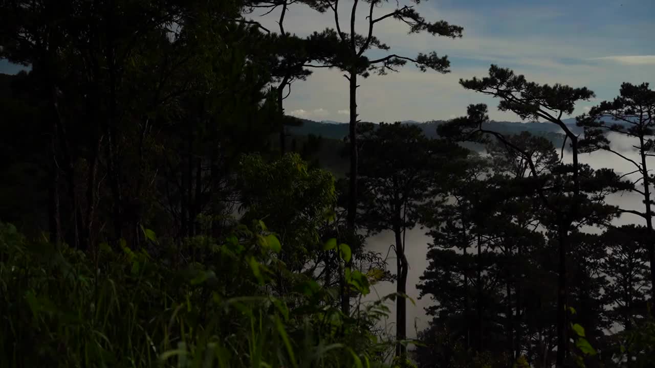 清晨的大雾笼罩着群山。视频下载