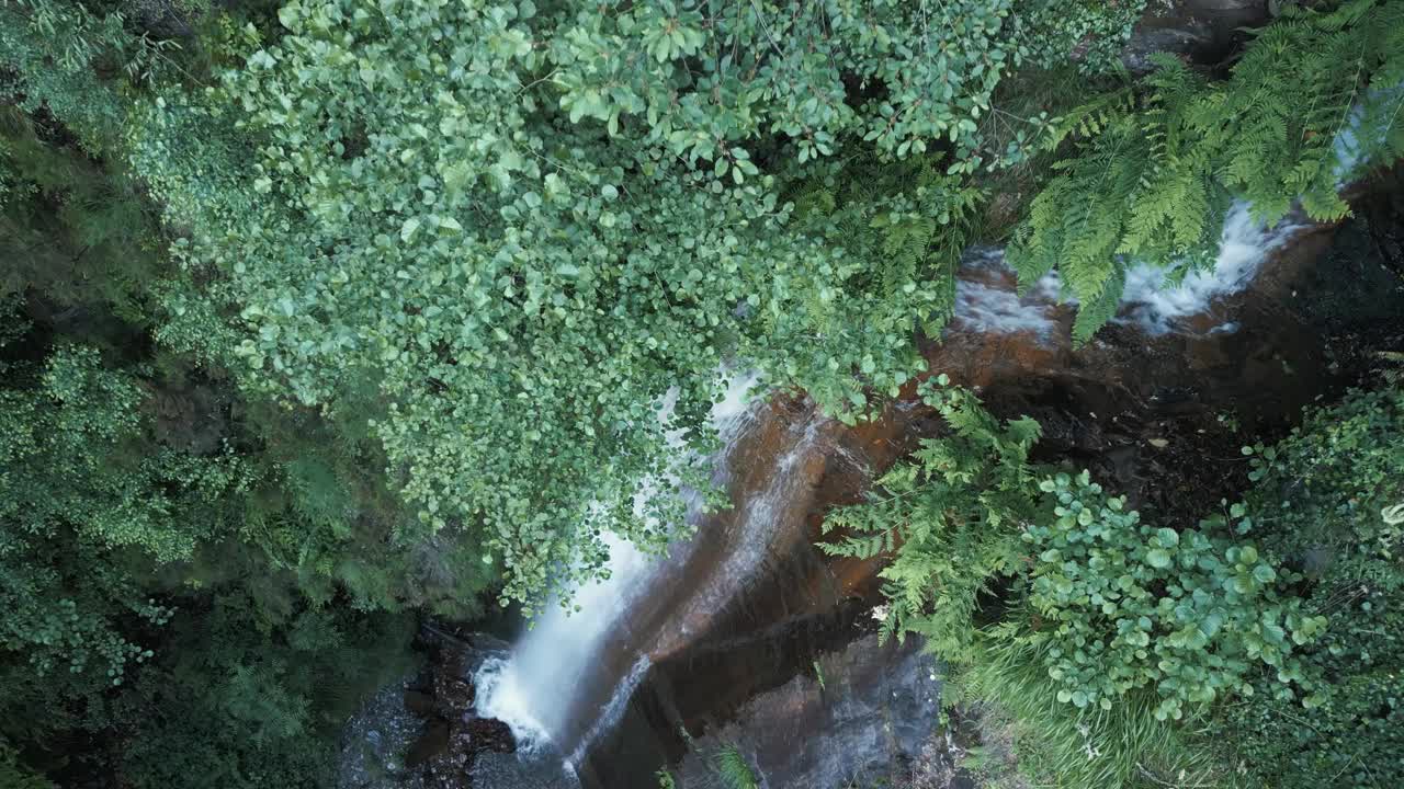 科沃河在葱郁的绿色森林中流经雷西奥瀑布-空中下降拍摄视频素材