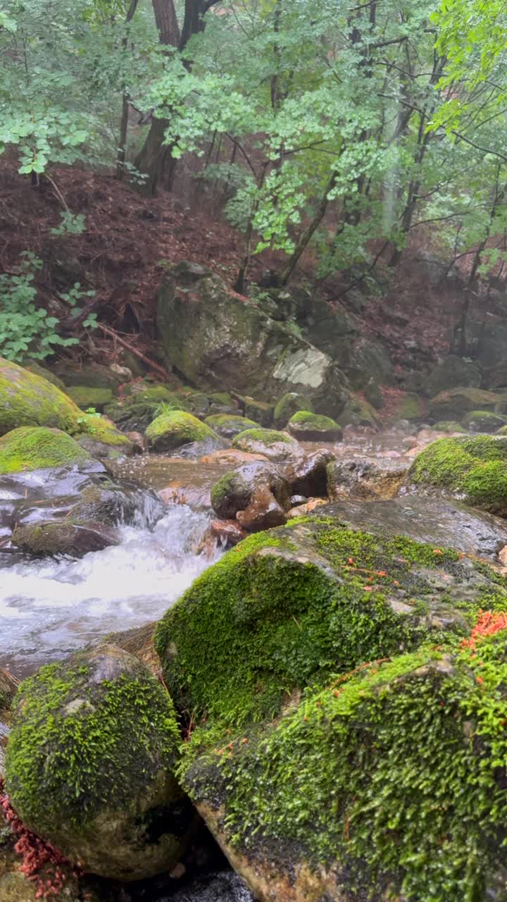 江原道，原州，赤山国立公园，山谷下着雨/韩国视频素材