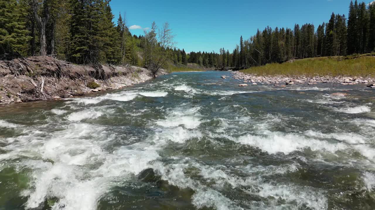 在一个阳光明媚的夏天，在水流湍急的小溪上飞翔。河两岸郁郁葱葱的青松林以清朗的蓝天为大气背景。在大自然中度过的美好时光。视频下载