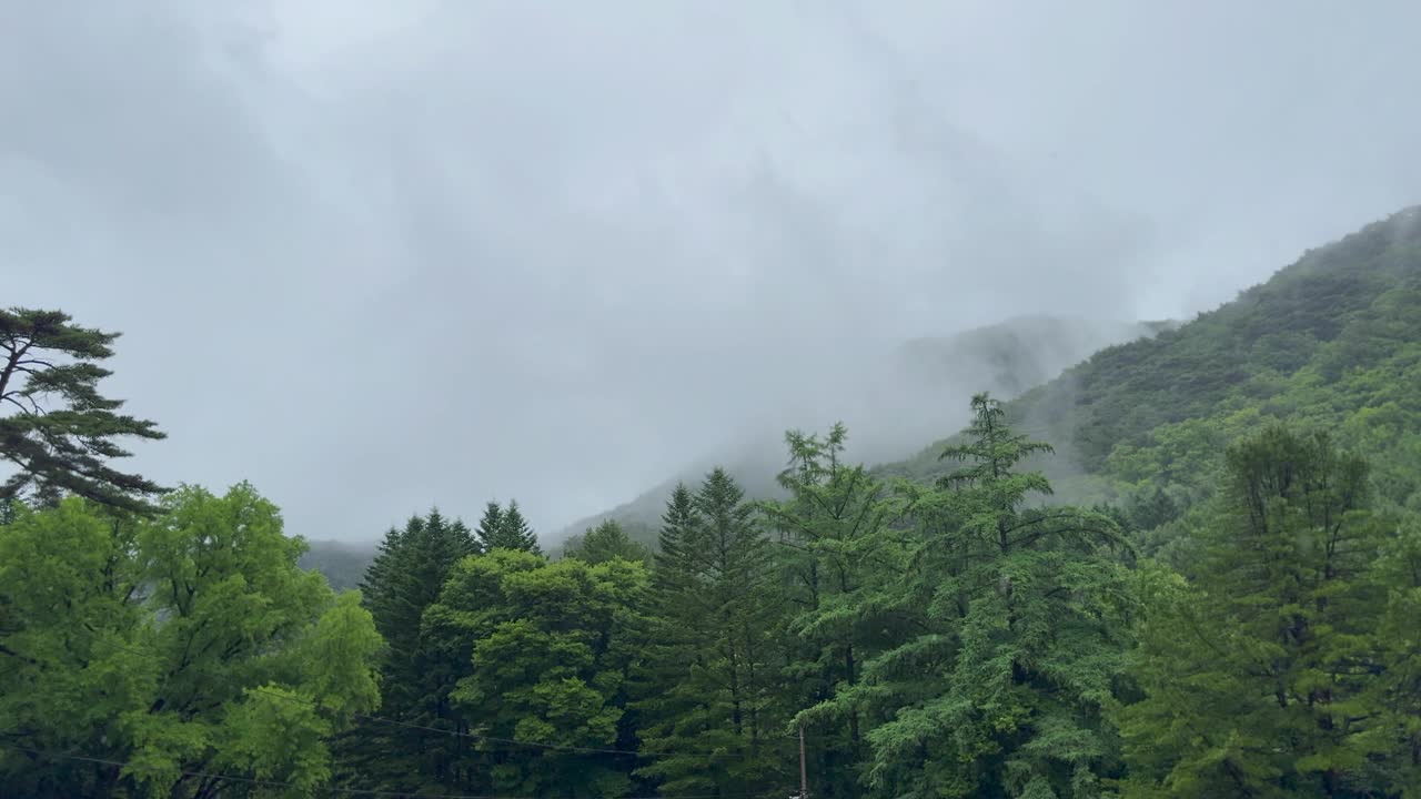 江原道，原州，赤山国立公园，山上的雨/韩国视频素材