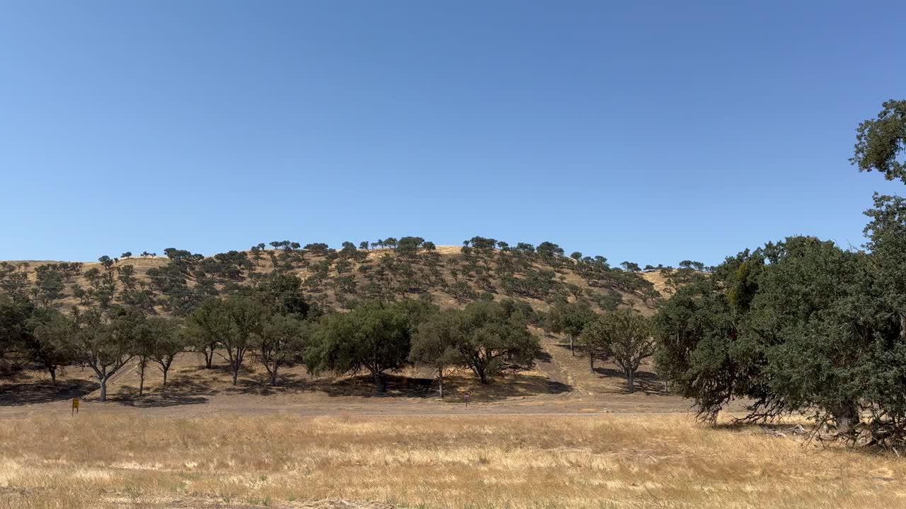 风景典型的加州中部远景在夏天，附近的营地罗伯茨地区视频下载