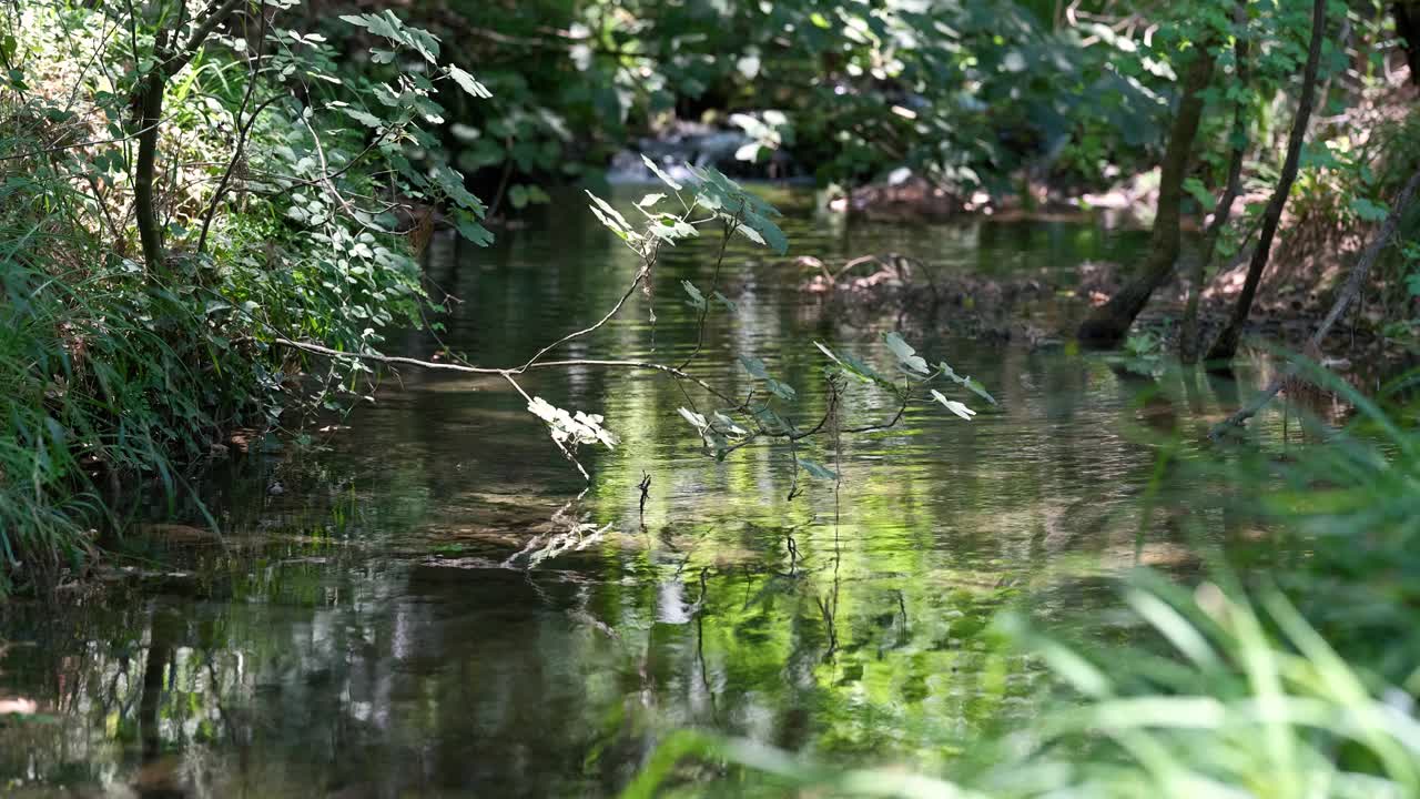 大自然中美丽的河流视频素材