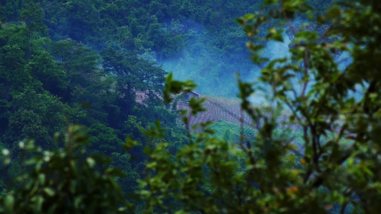 山顶小屋与薄雾在春天的早晨，选择性的焦点视频下载