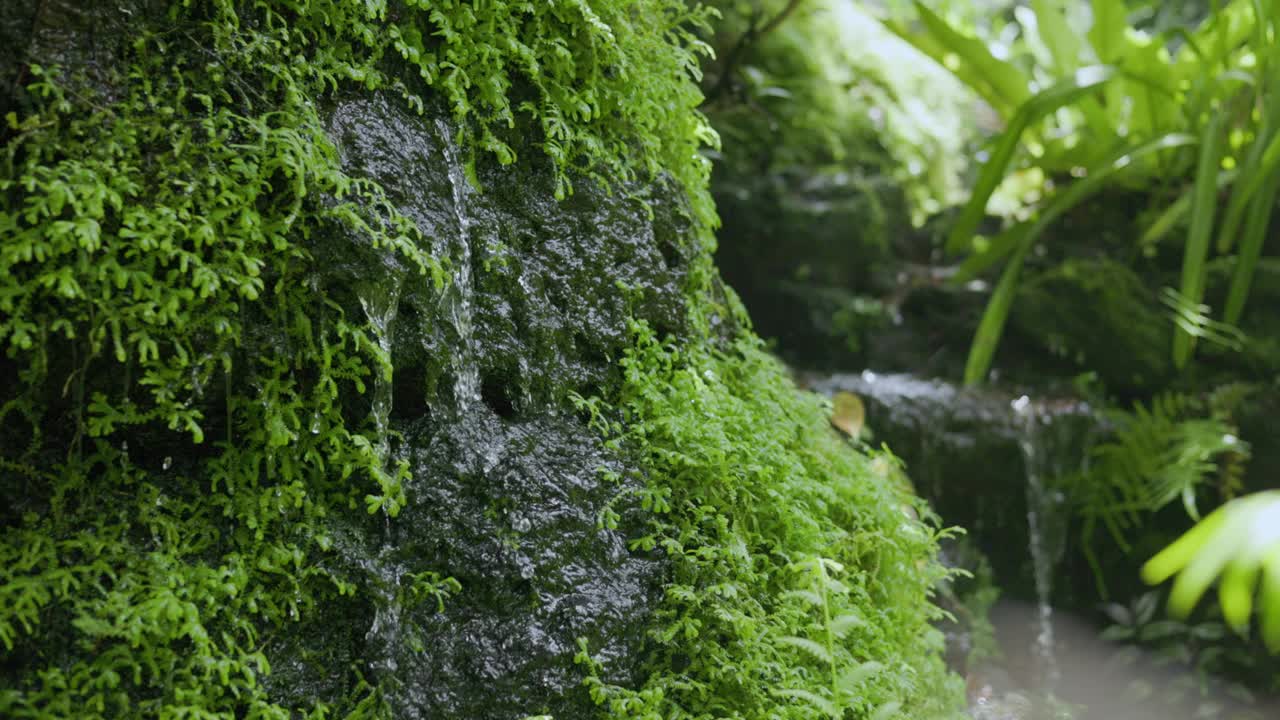 花园中的小瀑布特写视频素材