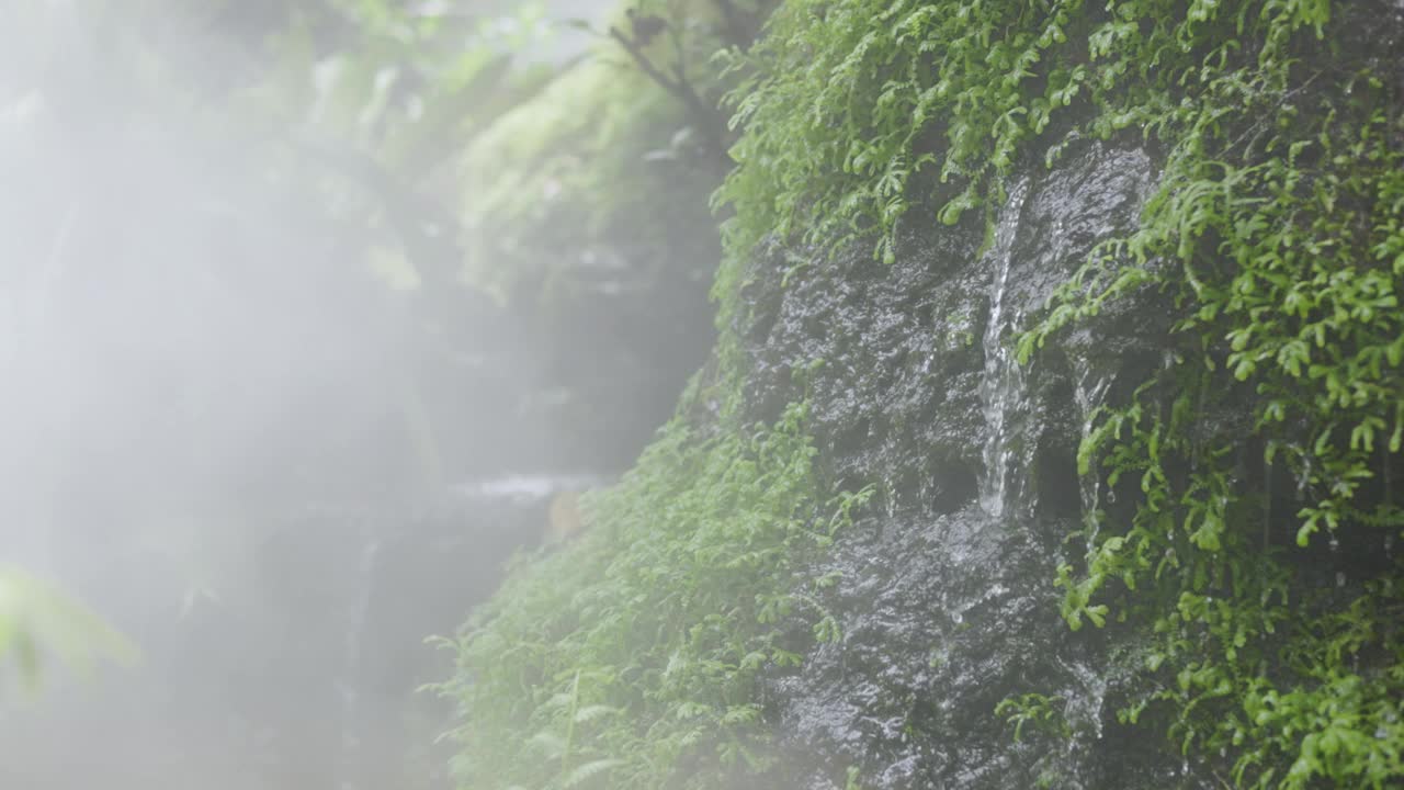 花园中的小瀑布特写视频素材