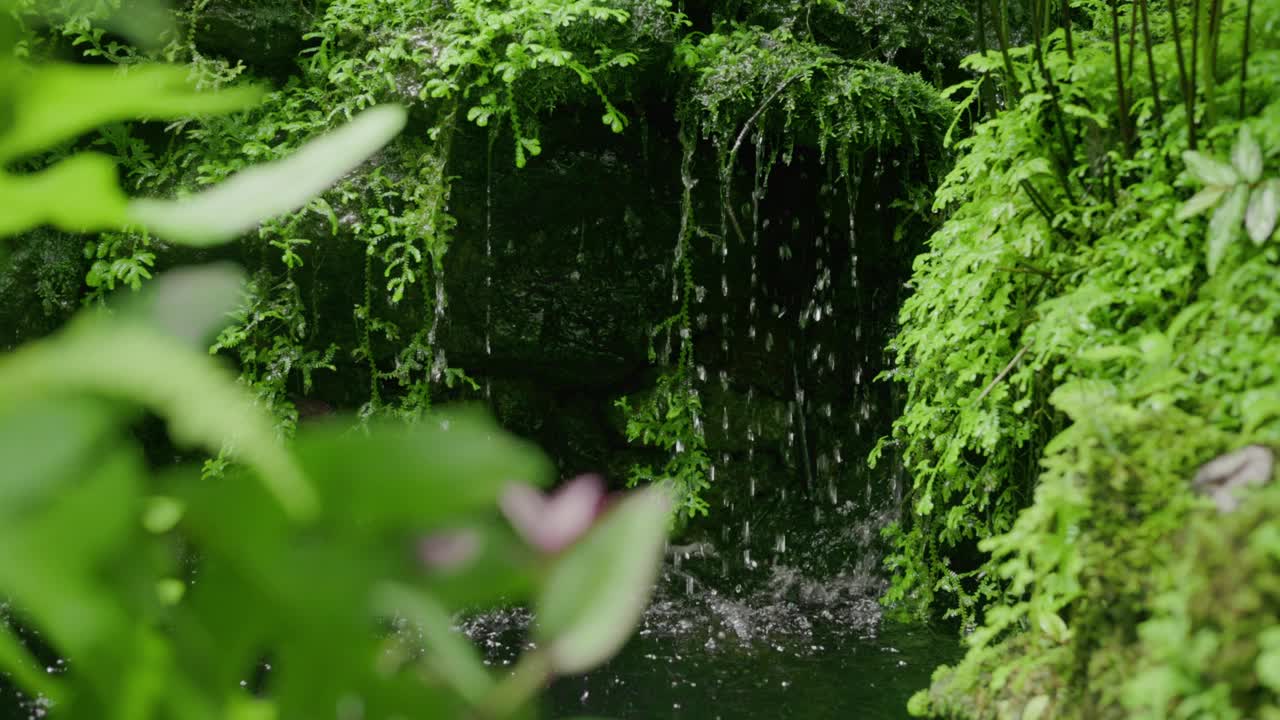 花园中的小瀑布特写视频素材