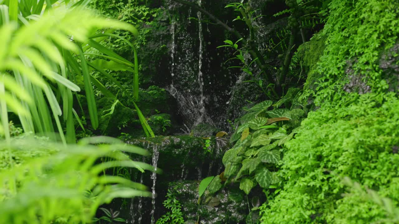 花园中的小瀑布特写视频素材