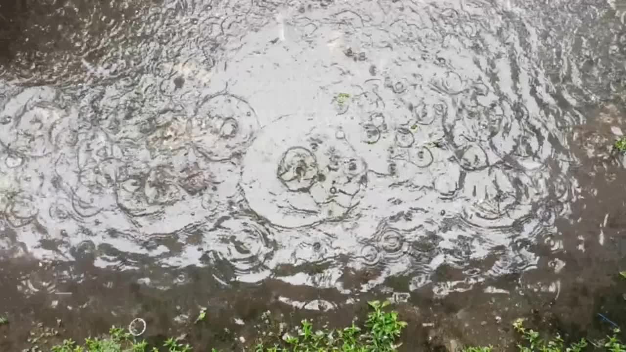 大雨落在地上的水坑里视频下载