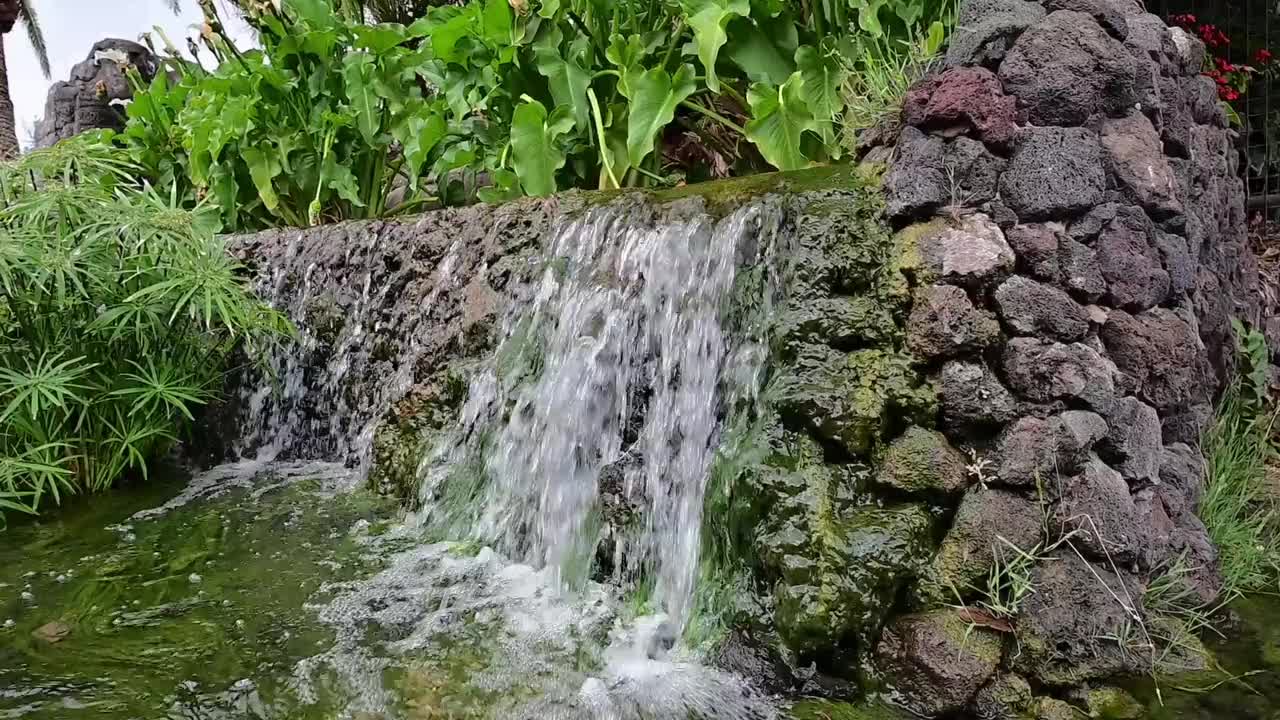 水瀑布被植物和火山岩包围视频素材