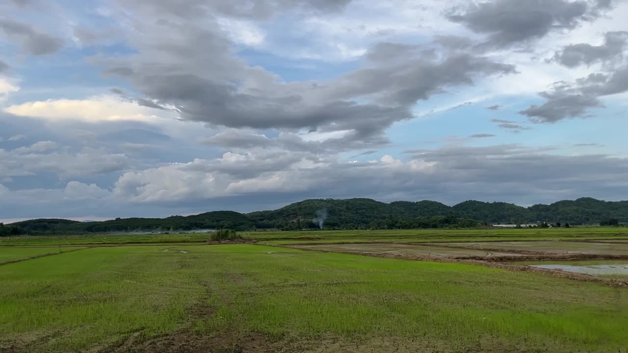 绿色的乡村田野在乡村视频下载