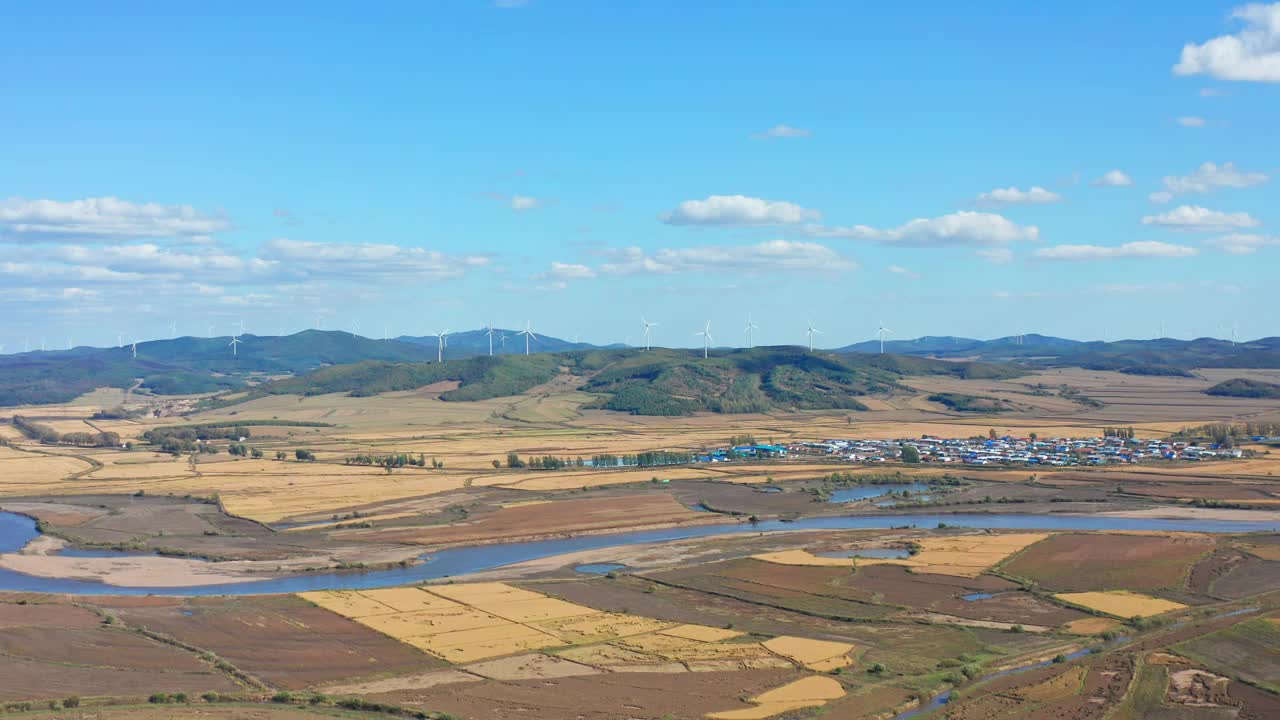 鸡西市兴开湖农场稻田航拍图视频下载