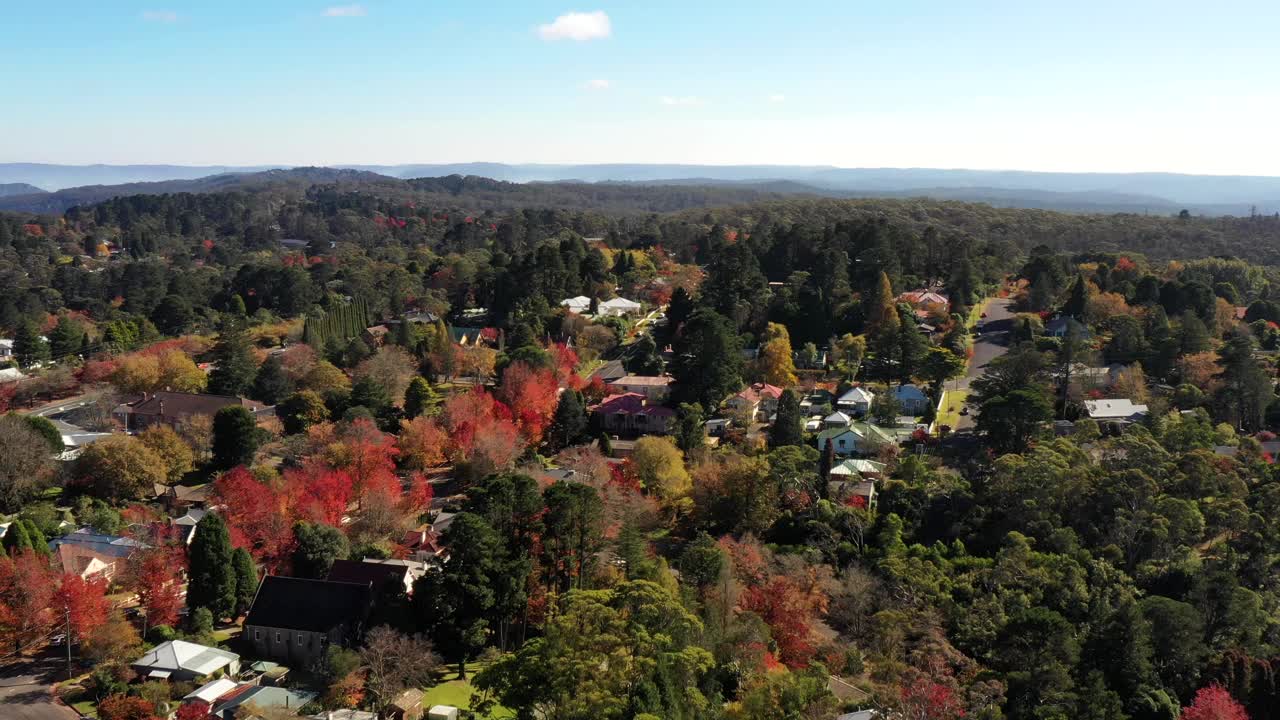 蓝山，黑荒原视频下载