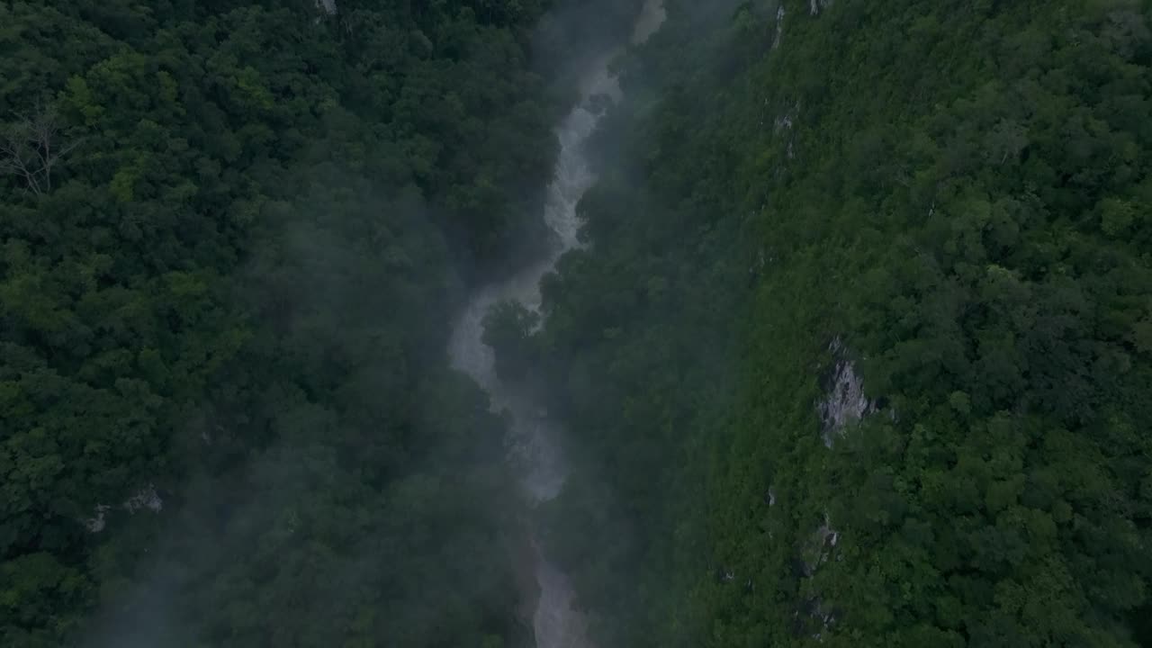 鸟瞰图，朦胧的河流在茂密的森林，危地马拉。视频素材