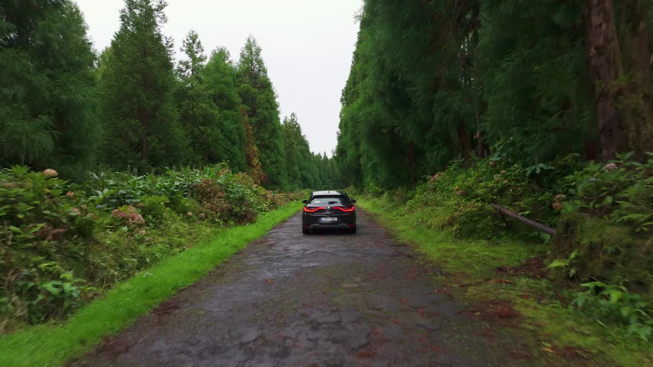 鸟瞰茂密的森林，蜿蜒的道路和汽车，弗洛雷斯，亚速尔群岛，葡萄牙。视频素材