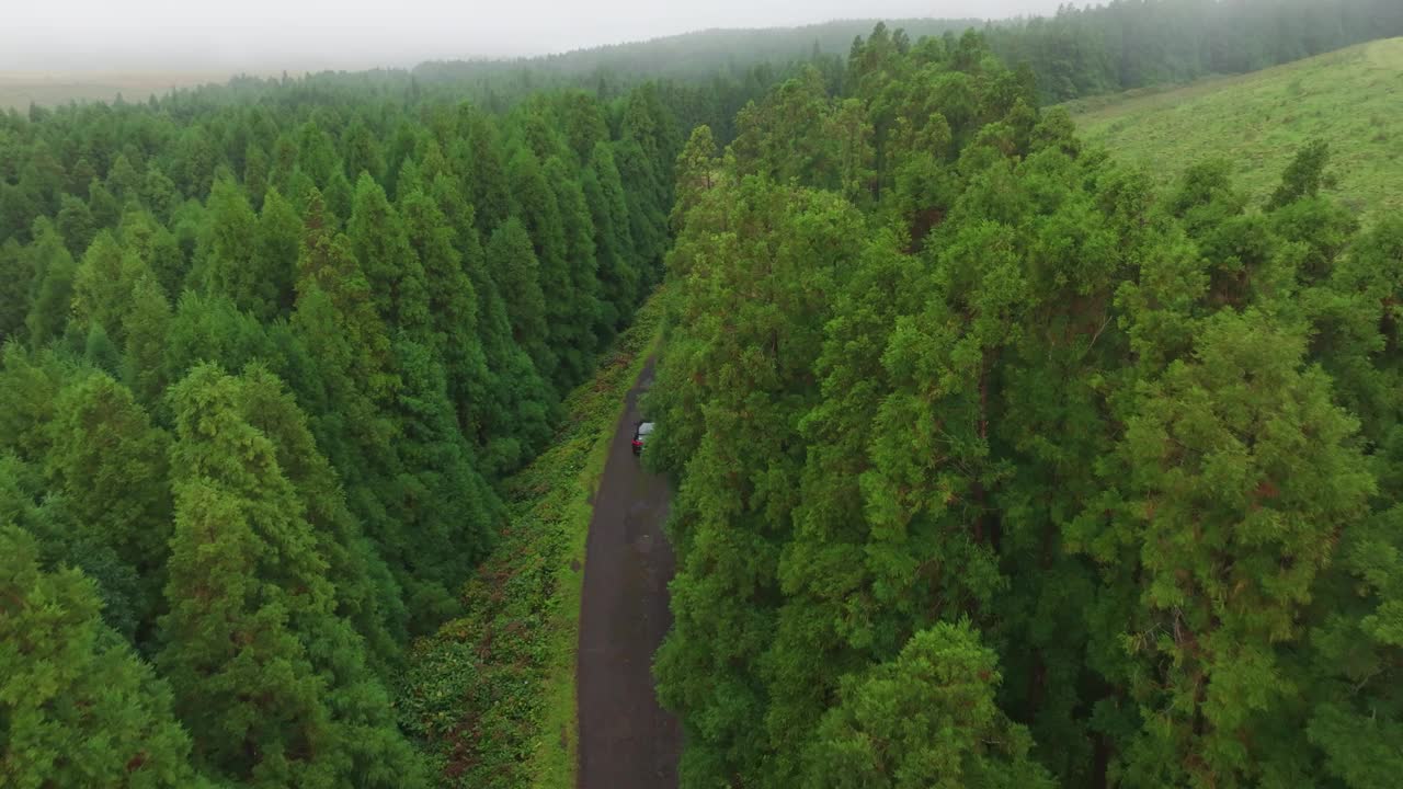 鸟瞰忧郁的森林，道路和汽车，弗洛雷斯，亚速尔群岛，葡萄牙。视频素材