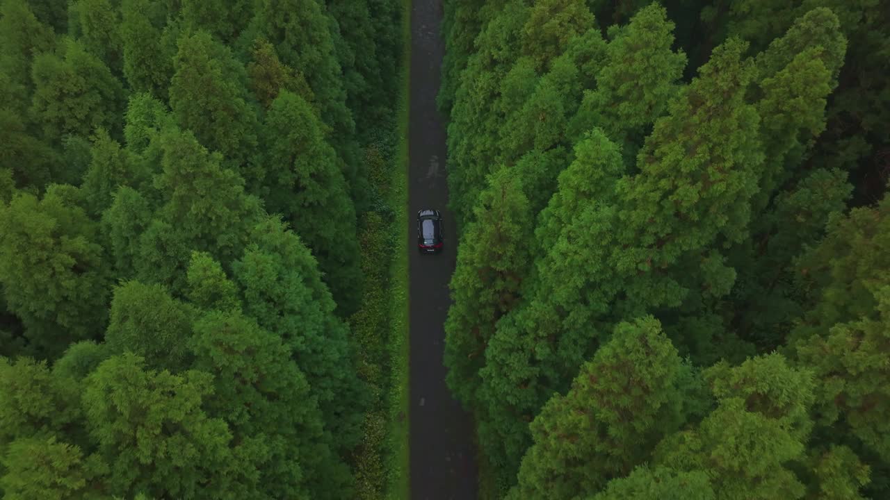 葡萄牙亚速尔群岛弗洛雷斯，从鸟瞰图上看，郁郁不乐的森林道路上有汽车行驶。视频素材