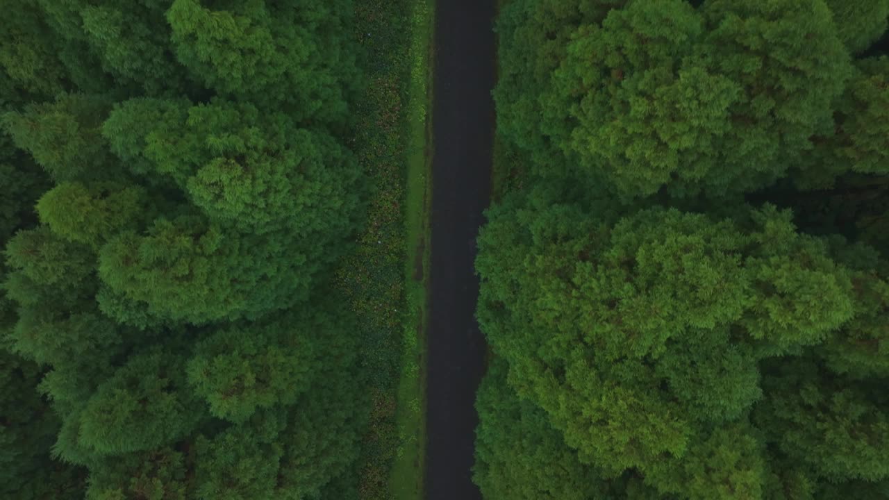 鸟瞰森林，道路，汽车，弗洛雷斯，葡萄牙。视频素材