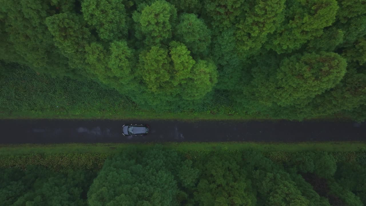 葡萄牙亚速尔群岛弗洛雷斯，从鸟瞰图上看，郁郁不乐的森林道路上有汽车行驶。视频素材