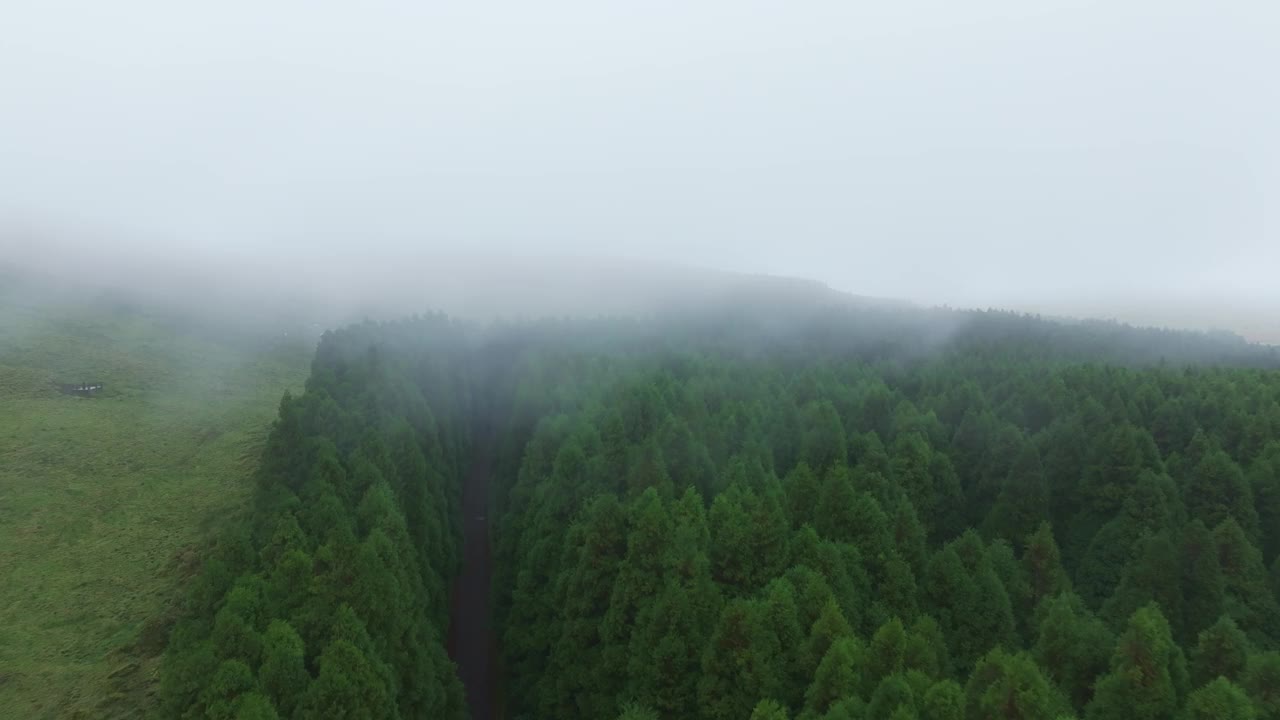 鸟瞰郁郁葱葱的绿色森林与忧郁的云，弗洛雷斯，亚速尔群岛，葡萄牙。视频素材