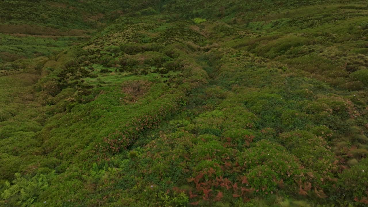 鸟瞰湖泊、山脉和山谷的薄雾，葡萄牙。视频素材