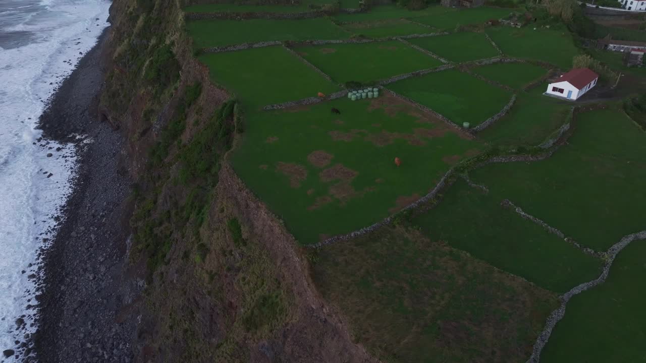 鸟瞰宁静的村庄，充满活力的田野，美丽的海岸线，葡萄牙。视频素材