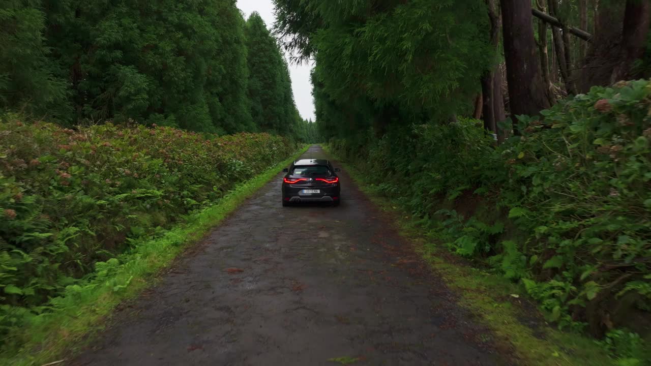 鸟瞰郁郁葱葱的森林，蜿蜒的道路和汽车，葡萄牙。视频素材