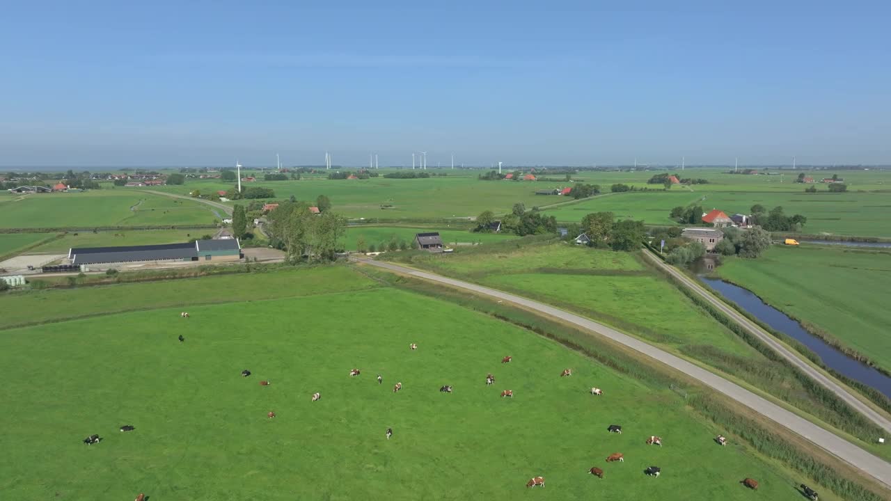 鸟瞰荷兰乡村景观，有农场、奶牛和河流。视频素材