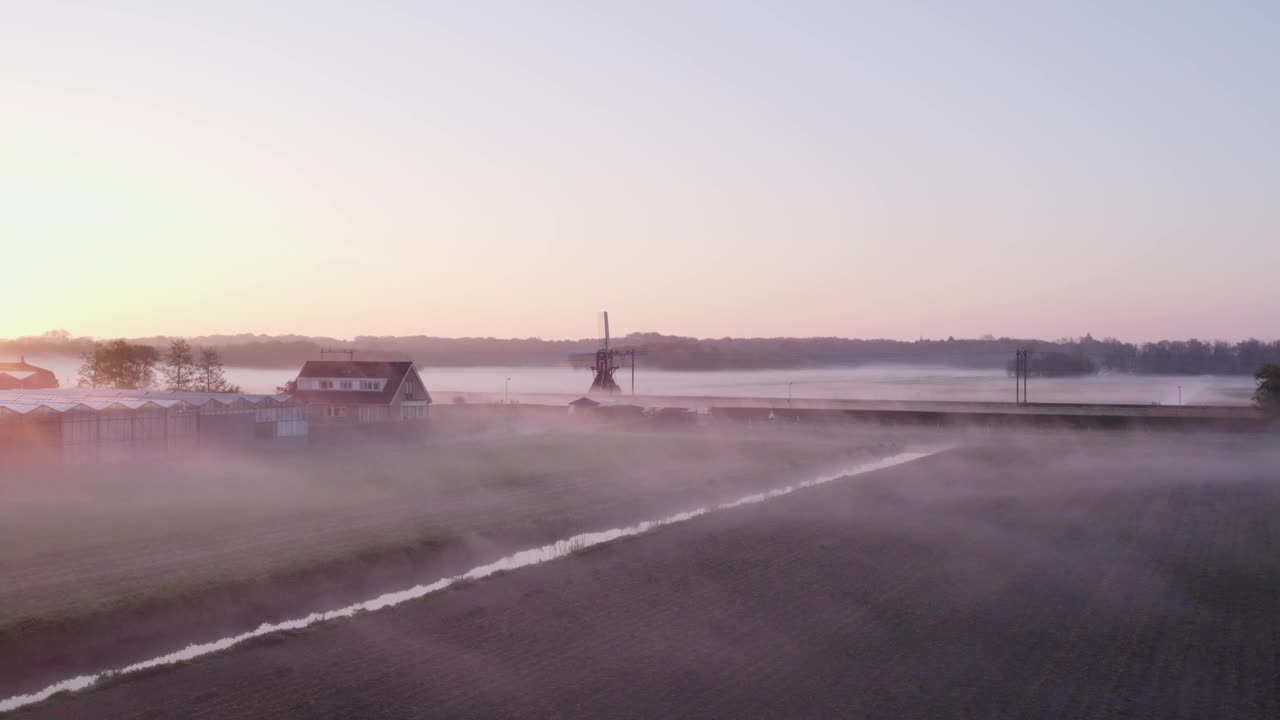 荷兰郁金香田上空雾蒙蒙的日出鸟瞰图。视频素材