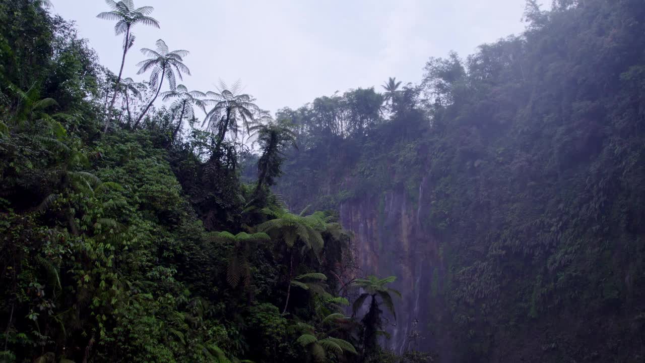 印尼塞默鲁火山附近的瀑布和森林鸟瞰图。视频素材