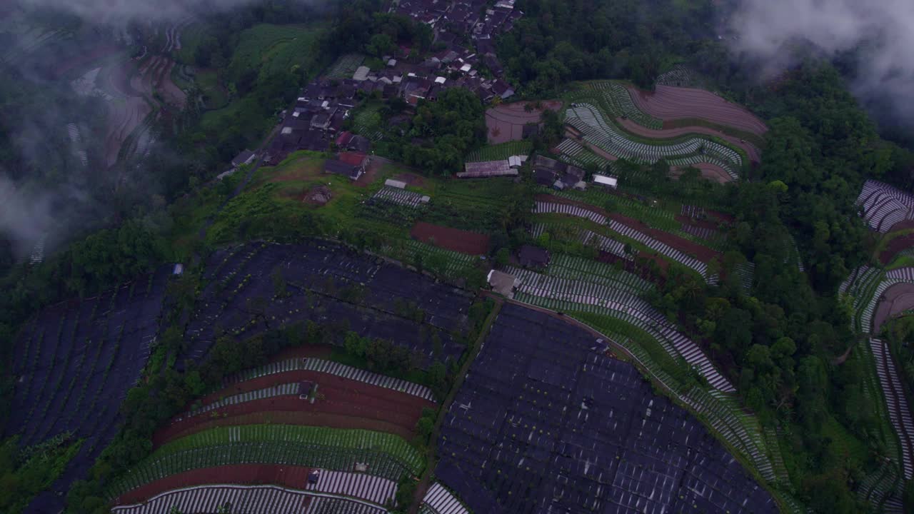 鸟瞰图的村庄，森林，梯田在日出，印度尼西亚。视频素材