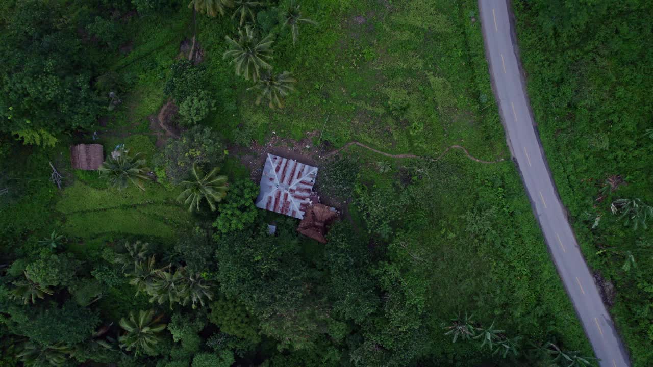 鸟瞰葱郁的森林，房屋和道路，印度尼西亚松巴岛。视频素材