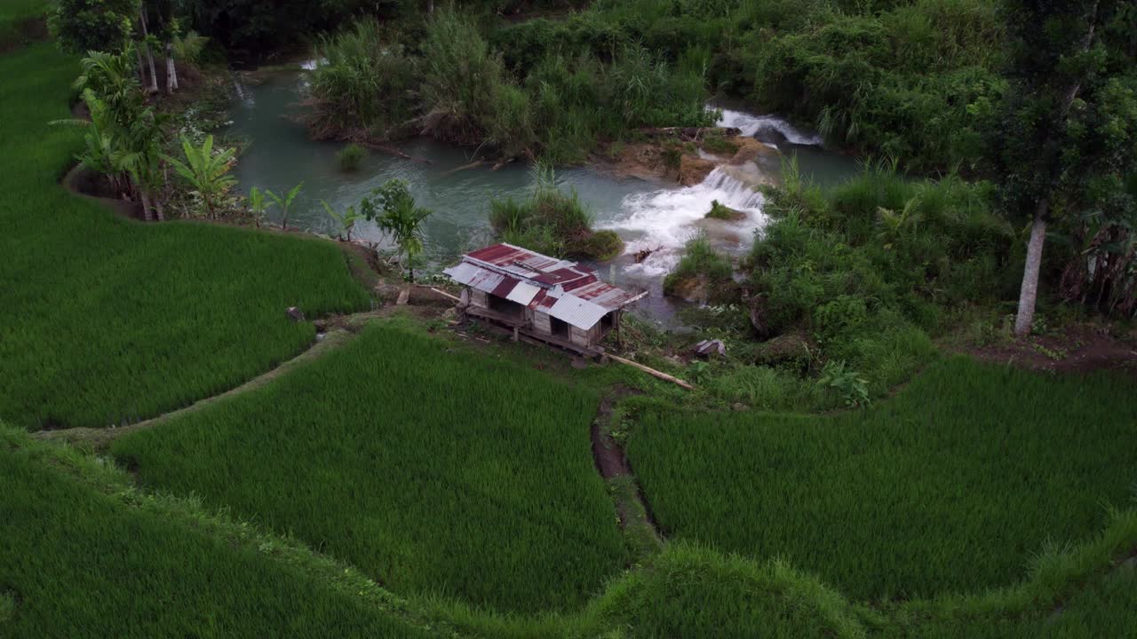 鸟瞰稻田，河流，瀑布在威卡库拉，印度尼西亚。视频素材