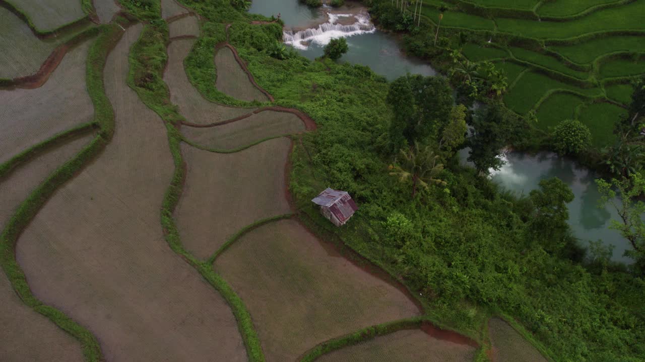 鸟瞰印尼威库拉的稻田、河流和棕榈树。视频素材