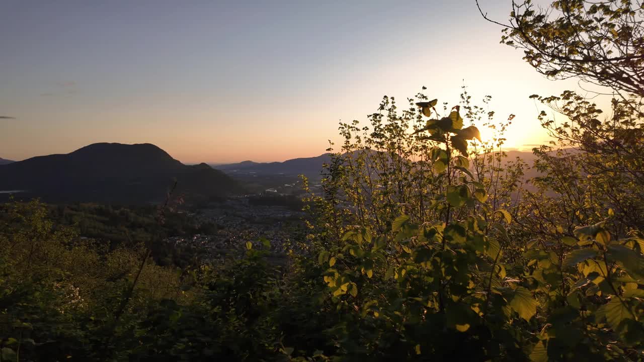 奇利瓦克步道山顶的风景观景点。夕阳西下，春暖花开的季节。树木,注意。加拿大不列颠哥伦比亚省视频素材